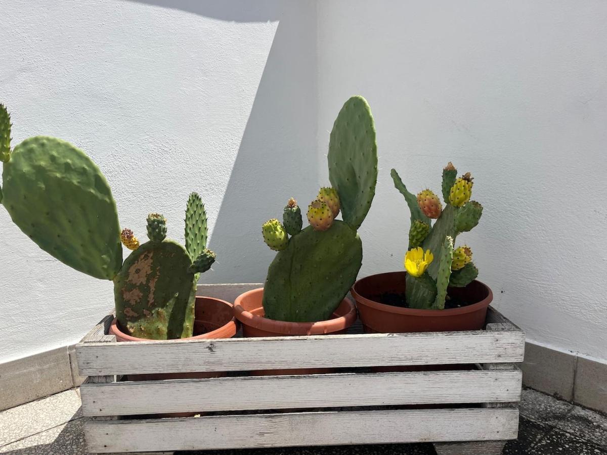 Monteverde Double Terrace Penthouse Ρώμη Εξωτερικό φωτογραφία